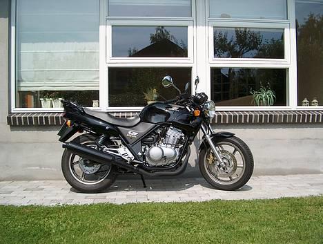 Honda CB 500 - Dette er min lille LULLER FNIS! MIN SKAT! billede 1