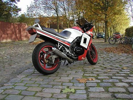 Honda VF 500 F2 billede 2