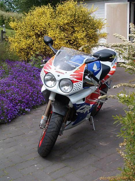 Honda Cbr 900 rr Fireblade billede 2