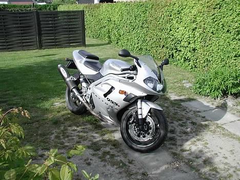 Triumph Daytona 955i billede 1