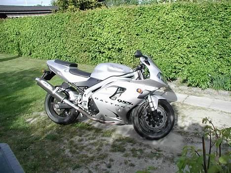Triumph Daytona 955i billede 2