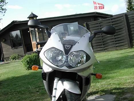 Triumph Daytona 955i billede 3