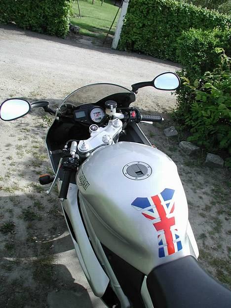 Triumph Daytona 955i billede 4