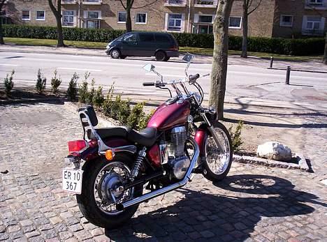 Suzuki LS 650 Savage billede 3