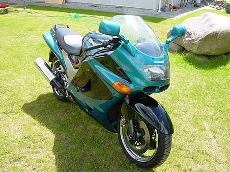 Kawasaki ZZR 1100 D"EMON" billede 2