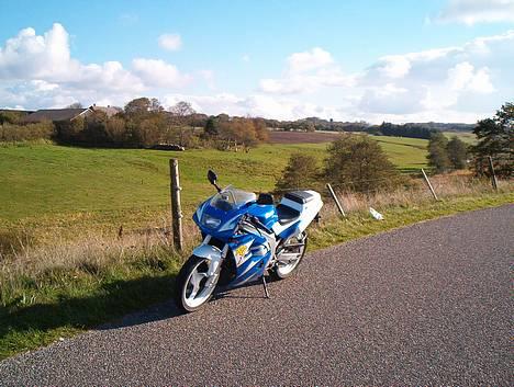 Suzuki RG 125 billede 4