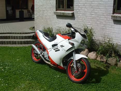 Suzuki Gsx250R billede 6