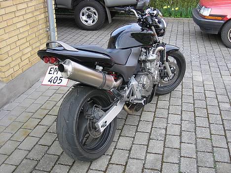 Honda cb 600F Hornet(solgt) billede 7