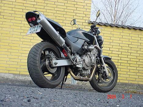 Honda cb 600F Hornet(solgt) billede 10