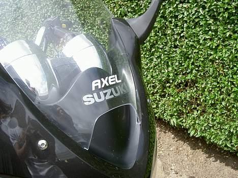 Suzuki GSF Bandit 600S - Axel Stafering. billede 2