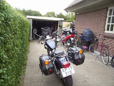 Yamaha XV535 - virago - nye billeder fra 8/7 2004 billede 8