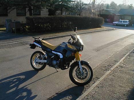 Yamaha tdr 250 billede 3