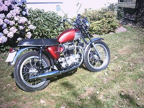 Triumph Bonnevil - Billedet er taget i sommeren 2003. billede 1