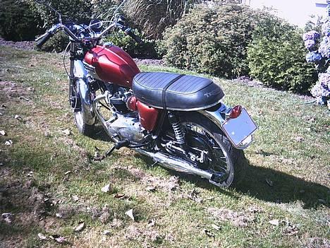 Triumph Bonnevil billede 2