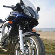 Yamaha FZ6 Fazer