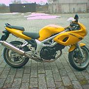 Suzuki SV650S (kæresteudlånt)