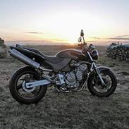 Honda CB 600 f1 hornet