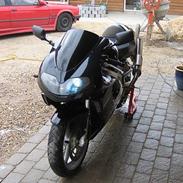 Suzuki TL1000r (solgt)