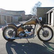 Triumph thunderbird