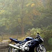 Suzuki SV 1000 S K4 *solgt*