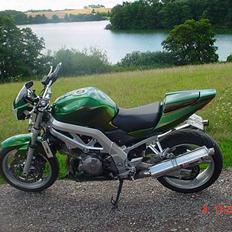 Suzuki SV1000streetfighter solgt