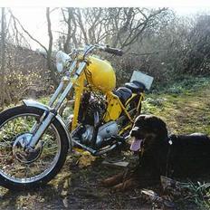 Triumph speed twin 500