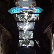 Yamaha FZR 1000 "SOLGT"