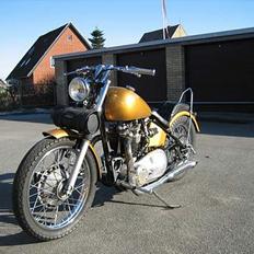 Triumph thunderbird