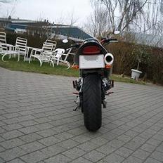 Honda CB 600 F Hornet