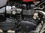 Triumph speedmaster (SOLGT)