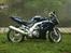 Suzuki SV 1000 S K4 *solgt* - Billedet er taget ved Rådvad den 7/10-05 om morgen, dagen efter jeg havde købte den :o)
