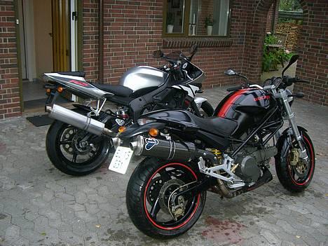 Ducati Monster 600  billede 10