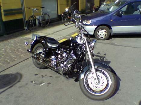 Yamaha Dragstar 650 Classic - Gammelt foto billede 4