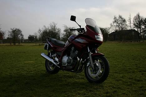 Yamaha XJ 900S (Solgt) - Årets første trille tur ´07 - Ud på marken til fotooptagelse :p billede 8