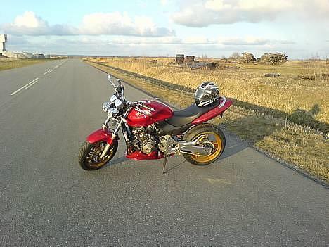 Honda  CB 600 F Hornet billede 14