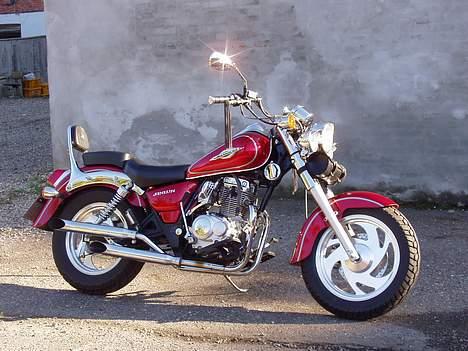 Yamaha xv535 virago billede 8