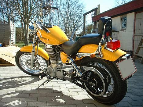 Suzuki Savage LS 650  billede 12