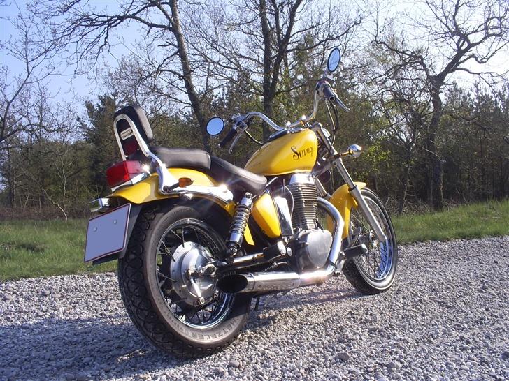 Suzuki Savage LS 650  billede 13