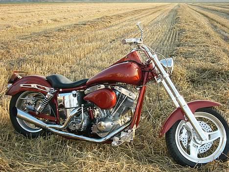 Harley Davidson shovelhead - mosten 2004 billede 1