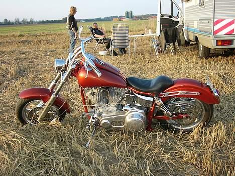 Harley Davidson shovelhead - mosten 2004 billede 2