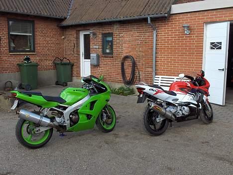 Kawasaki Min gamle zx6r - "Tryner ham til hver en tid" billede 6