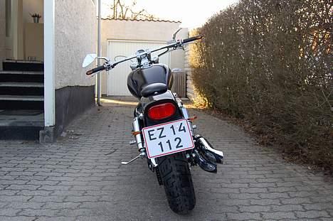 Suzuki vz800 marauder billede 4