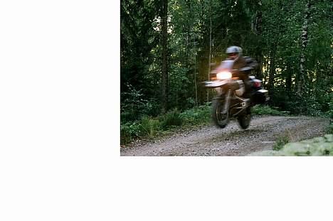 BMW r1100gs - Fuld oppakning på svensk skovvej. billede 6