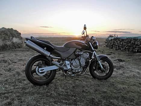 Honda CB 600 f1 hornet billede 1