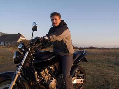 Honda CB 600 f1 hornet - flere billeder er på vej...:D billede 2