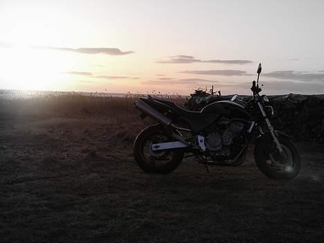 Honda CB 600 f1 hornet billede 4