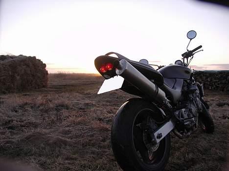 Honda CB 600 f1 hornet billede 6