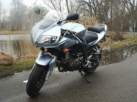 Suzuki SV 650 S billede 1