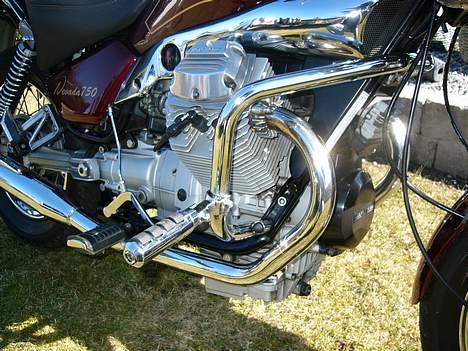 Moto Guzzi Nevada - Motorbøjle med fofhvilere billede 3