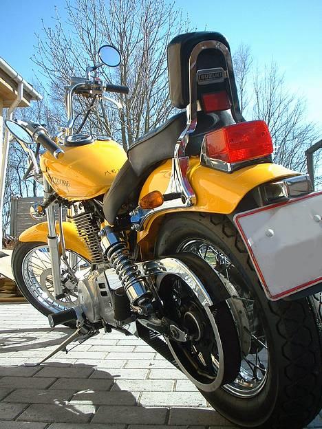 Suzuki Savage LS 650  - Pudset så hun glimter i solen.. :D billede 14